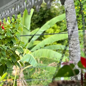 Maison Taina Arue (Tahiti)